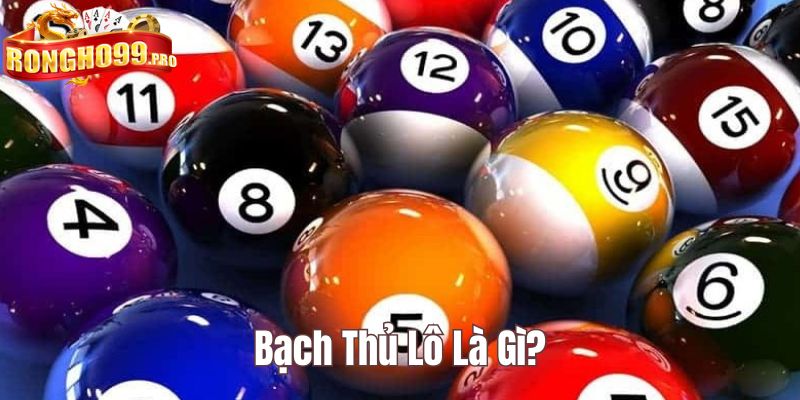 bạch thủ lô là gì Rongho99