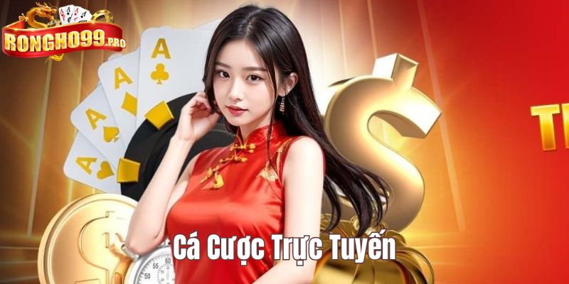 Cá cược trực tuyến Rongho99