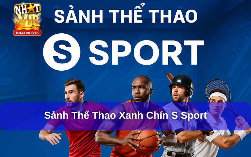S Sport – Sảnh Cá Cược Thể Thao Hấp Dẫn Với Nhiều Phần Thưởng Giá Trị